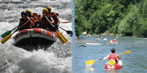 duo-aquatique- duo-aquatique-