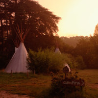 tippi sunset tippi sunset